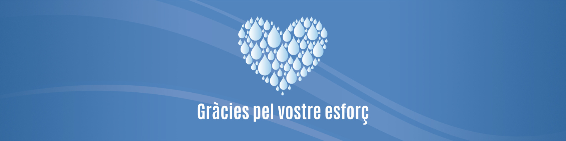 Gràcies pel vostre esforç