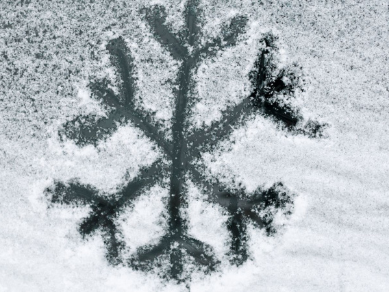 Floc de neu
