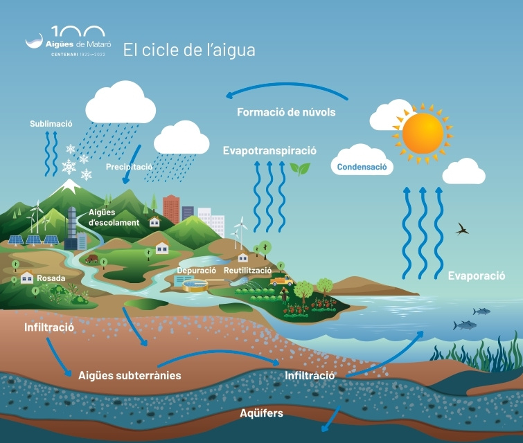 Gràfic del cicle natural de l'aigua
